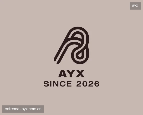 关于ayx官方